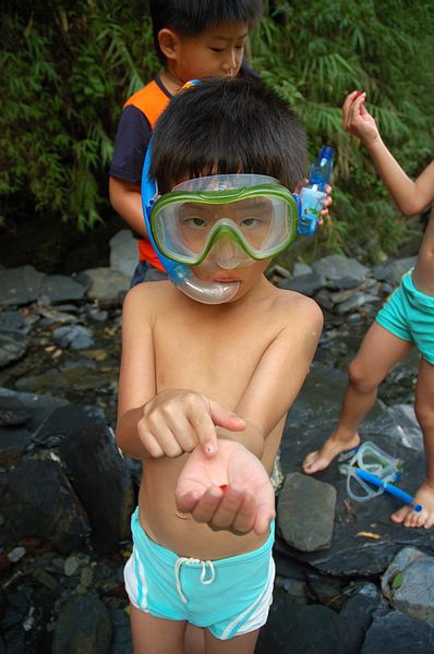 Img2015-08-02 104747.jpg Img2015-08-02 104747.jpg