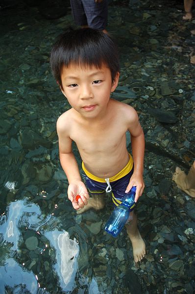 Img2015-08-02 104800.jpg Img2015-08-02 104800.jpg