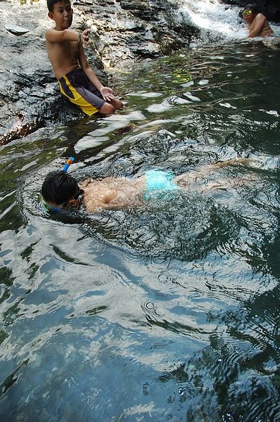 Img2015-08-02 104928.jpg Img2015-08-02 104928.jpg