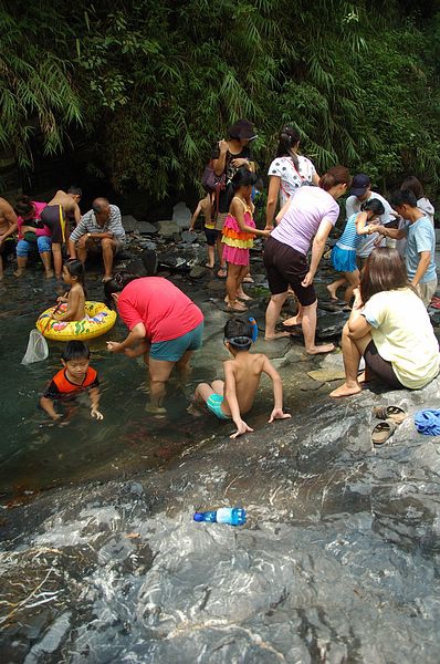 Img2015-08-02 105944.jpg Img2015-08-02 105944.jpg