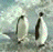 企鵝e86b6cf23c29e7c4e49c0999c42dd3b9_w48_h47.gif