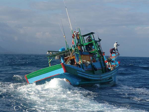 【台東人文】台東成功鎮 傳承老法「鏢旗魚」