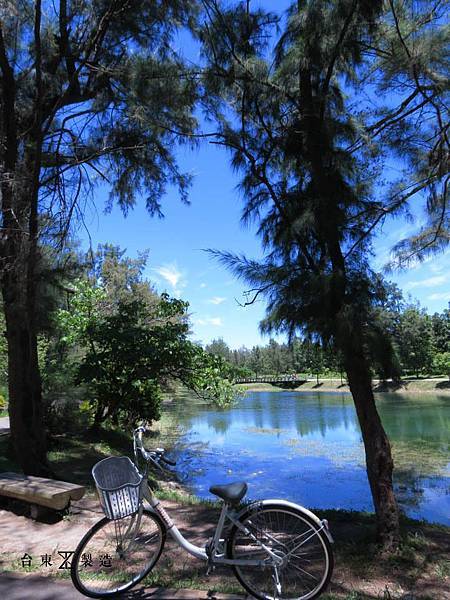 08 (2).jpg 08 (2).jpg