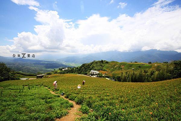 六十石山賞金針8.JPG 六十石山賞金針8.JPG