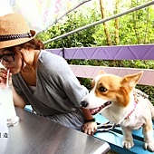 六十石山賞金針19.JPG 六十石山賞金針19.JPG