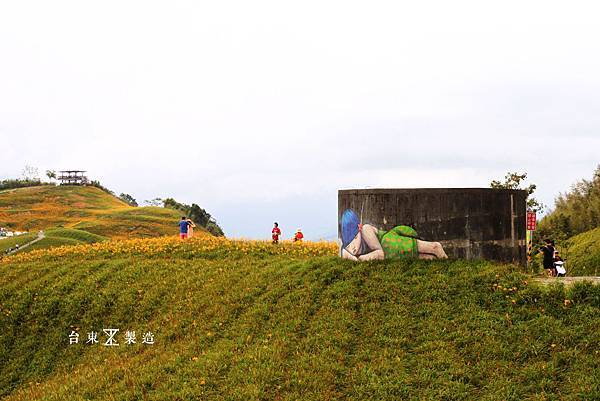 六十石山賞金針20.JPG 六十石山賞金針20.JPG