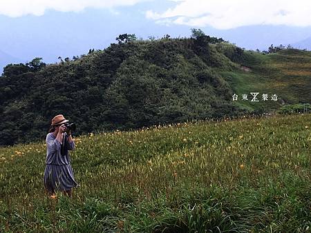 六十石山賞金針26.JPG 六十石山賞金針26.JPG