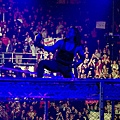 Undertaker